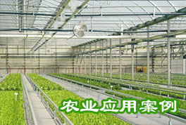 農(nóng)業(yè)應(yīng)用案例：水源熱泵機組助力恒溫大棚種植，更低運行成本